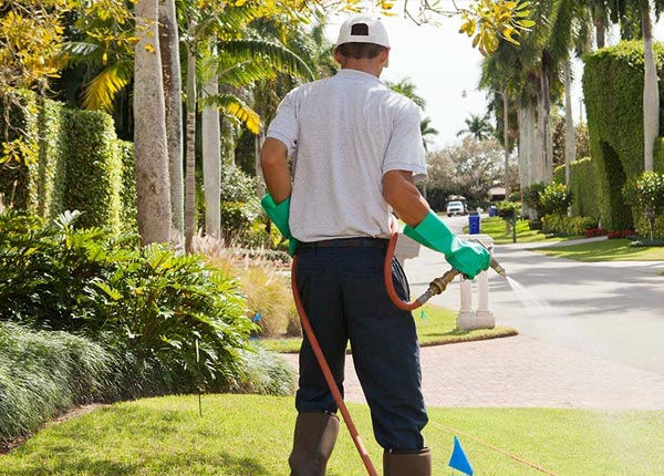 About Green Mountain Falls CO Pest Control Pros